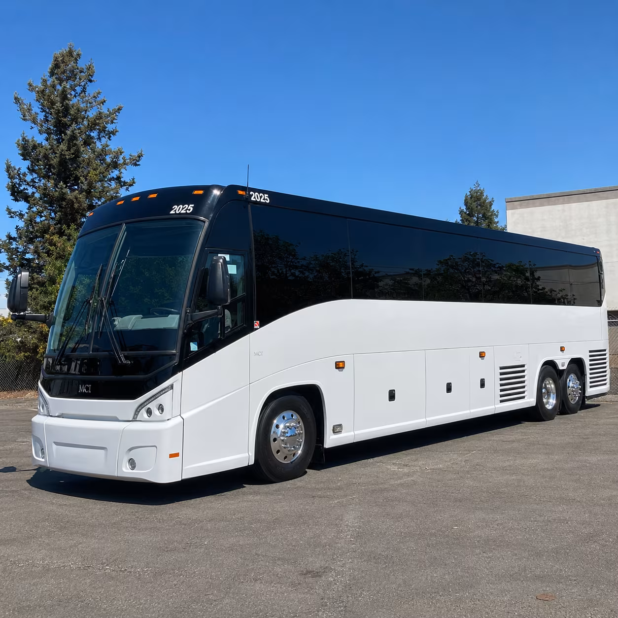 prom and homecoming party buses for ccisd schools